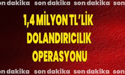 1,4 Milyon TL’lik dolandırıcılık operasyonu