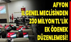 Afyon İl Genel Meclisi'nden 230 Milyon TL’lik Ek Ödenek Düzenlemesi!