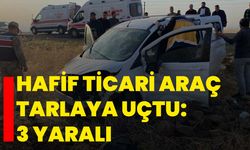 Hafif ticari araç tarlaya uçtu: 3 yaralı