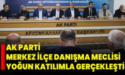 AK Parti Merkez İlçe Danışma Meclisi Yoğun Katılımla Gerçekleşti