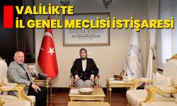 Valilikte İl Genel Meclisi İstişaresi