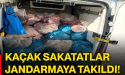 Kaçak sakatatlar jandarmaya takıldı!