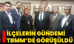 İlçelerin Gündemi TBMM’de görüşüldü