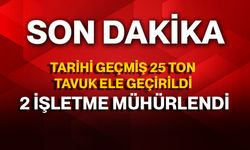 Tarihi Geçmiş 25 Ton Tavuk Ele Geçirildi, 2 İşletme Mühürlendi