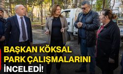 Başkan Köksal, park çalışmalarını inceledi!