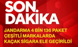 Jandarma 4 bin 136 paket çeşitli markalarda kaçak sigara ele geçirildi