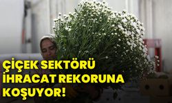 Çiçek sektörü, ihracat rekoruna koşuyor!