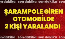Şarampole giren otomobilde 2 kişi yaralandı