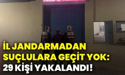 İl Jandarmadan suçlulara geçit yok: 29 kişi yakalandı!