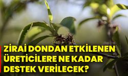 Zirai dondan etkilenen üreticilere ne kadar destek verilecek?