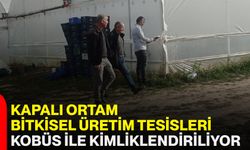 Kapalı Ortam Bitkisel Üretim Tesisleri KOBÜS ile Kimliklendiriliyor