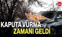 Kaputa Vurma Zamanı Geldi