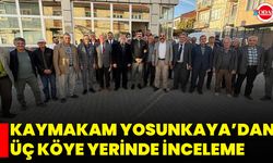 Kaymakam Yosunkaya’dan Üç Köye Yerinde İnceleme