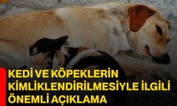 Kedi ve köpeklerin kimliklendirilmesiyle ilgili önemli açıklama