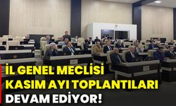 İl Genel Meclisi Kasım Ayı Toplantıları devam ediyor!