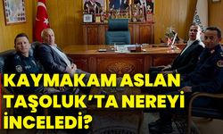 Kaymakam Aslan Taşoluk’ta nereyi inceledi?