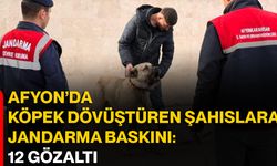 Afyon’da Köpek Dövüştüren Şahıslara Jandarma Baskını:12 Gözaltı