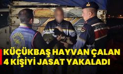 Küçükbaş hayvan çalan 4 kişiyi JASAT yakaladı