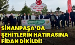 Sinanpaşa’da şehitlerin hatırasına fidan dikildi!