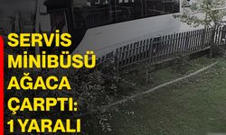 Servis minibüsü ağaca çarptı: 1 yaralı