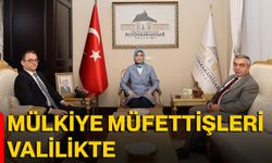 Mülkiye Müfettişleri Valilikte