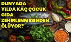 Dünyada yılda kaç çocuk gıda zehirlenmesinden ölüyor?