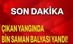 Çıkan Yangında Bin Saman Balyası Yandı!