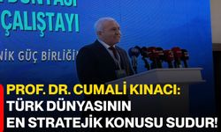 Prof. Dr. Cumali Kınacı: Türk dünyasının en stratejik konusu sudur!