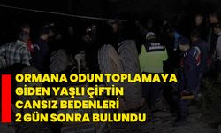 Ormana odun toplamaya giden yaşlı çiftin cansız bedenleri 2 gün sonra bulundu