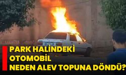 Park Halindeki Otomobil Neden Alev Topuna Döndü?