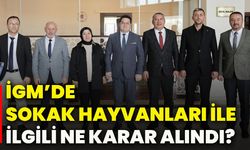 İGM’de sokak hayvanları ile ilgili ne karar alındı?