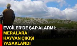 Evciler’de Şap Alarmı: Meralara Hayvan Çıkışı Yasaklandı