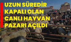 Uzun süredir kapalı olan canlı hayvan pazarı açıldı