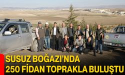 Susuz Boğazı’nda 250 Fidan Toprakla Buluştu