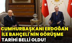 Cumhurbaşkanı Erdoğan ile Bahçeli'nin görüşme tarihi belli oldu!