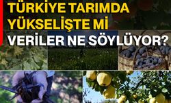 Türkiye Tarımda Yükselişte Mi, Veriler Ne Söylüyor?