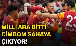 Milli ara bitti cimbom sahaya çıkıyor!