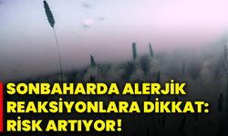 Sonbaharda alerjik reaksiyonlara dikkat: Risk artıyor!