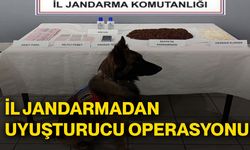 İl Jandarmadan uyuşturucu operasyonu!