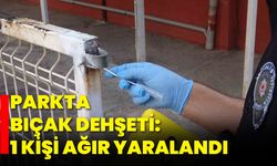 Parkta Bıçak Dehşeti: 1 Kişi Ağır Yaralandı