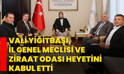 Vali Yiğitbaşı, İl Genel Meclisi Ve Ziraat Odası Heyetini Kabul Etti