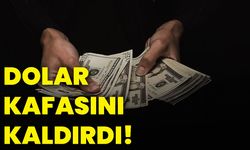 Dolar kafasını kaldırdı!