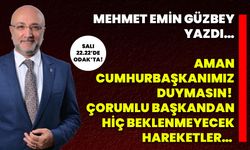 Mehmet Emin Güzbey Yazdı…