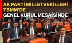 AK Parti Milletvekilleri TBMM’de Genel Kurul Mesaisinde
