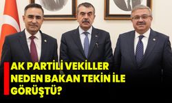 AK Partili vekiller neden Bakan Tekin ile görüştü?