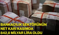 Bankacılık sektörünün net karı kasımda 842,8 milyar lira oldu