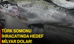 Türk Somonu İhracatında Hedef Milyar Dolar