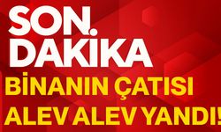 Binanın çatısı alev alev yandı!