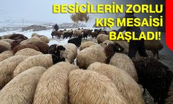 Besicilerin Zorlu Kış Mesaisi Başladı!