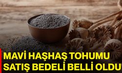 Mavi Haşhaş Tohumu Satış Bedeli Belli Oldu!